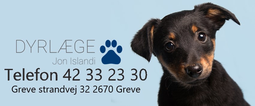 Greves bedste dyrlge